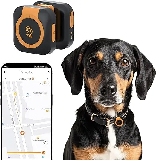 GPS Dog Tracker Health Monitoring And Location Tracking Any Collar
