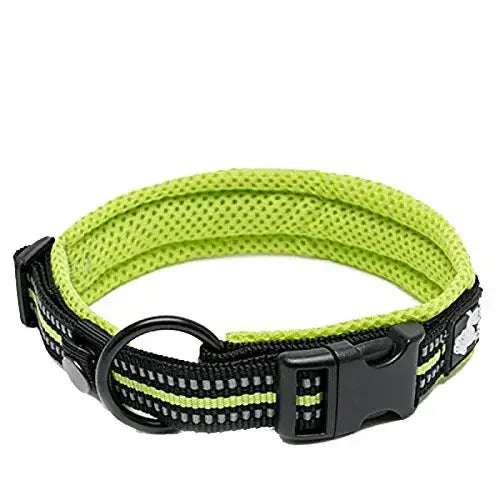 TRUELOVECN Truelove Nylon Adjustable Padded Reflective Dog Collar TLC5011