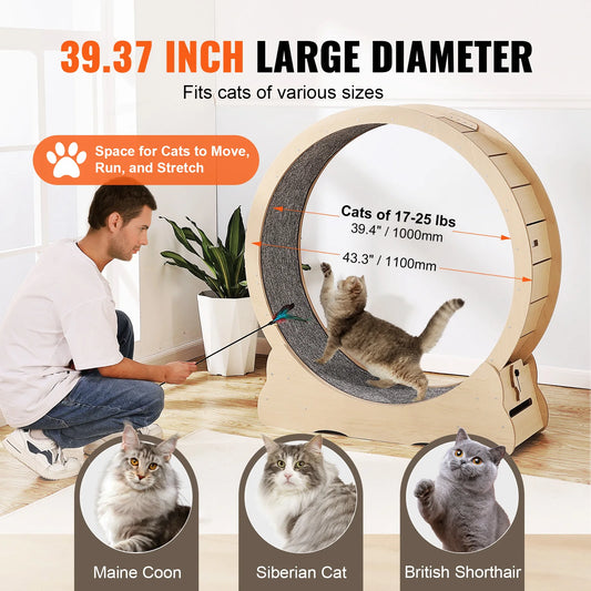 Wooden Cat Exercise Wheel for Indoor Cats with Detachable Carpet and Teaser