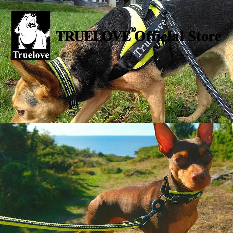 TRUELOVECN Truelove Nylon Adjustable Padded Reflective Dog Collar TLC5011