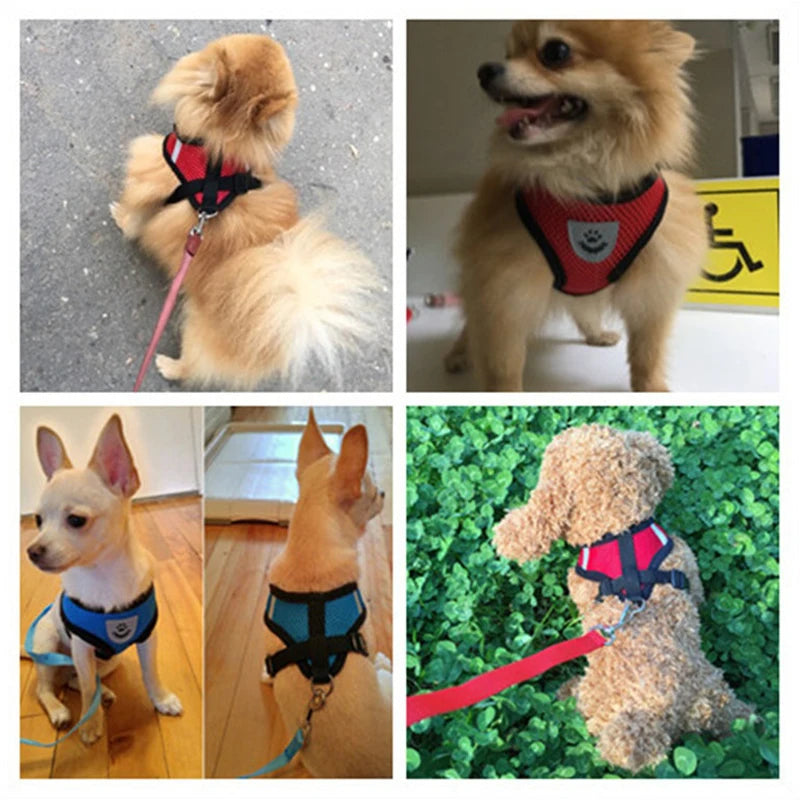 YTYINCN Dog Harness Leash for Pets