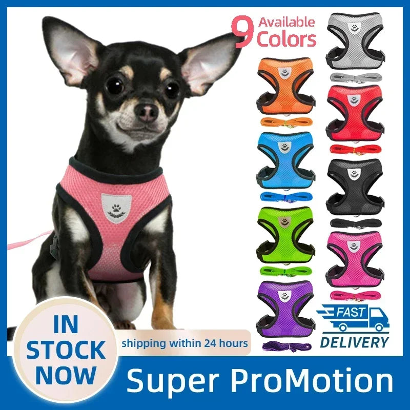 YTYINCN Dog Harness Leash for Pets