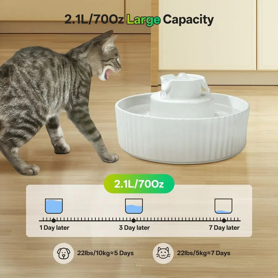 Cat Water Fountain Automatic Pet Drinking Dispenser With Filters
