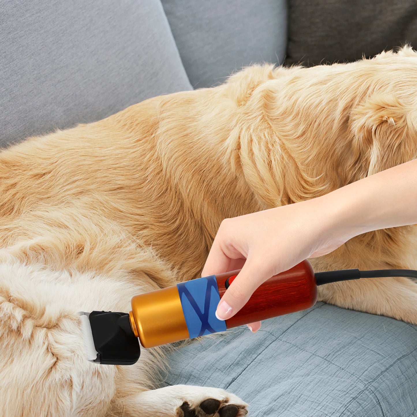 Pet Hair Clipper Low Noise Electric Variable Speed For Pets