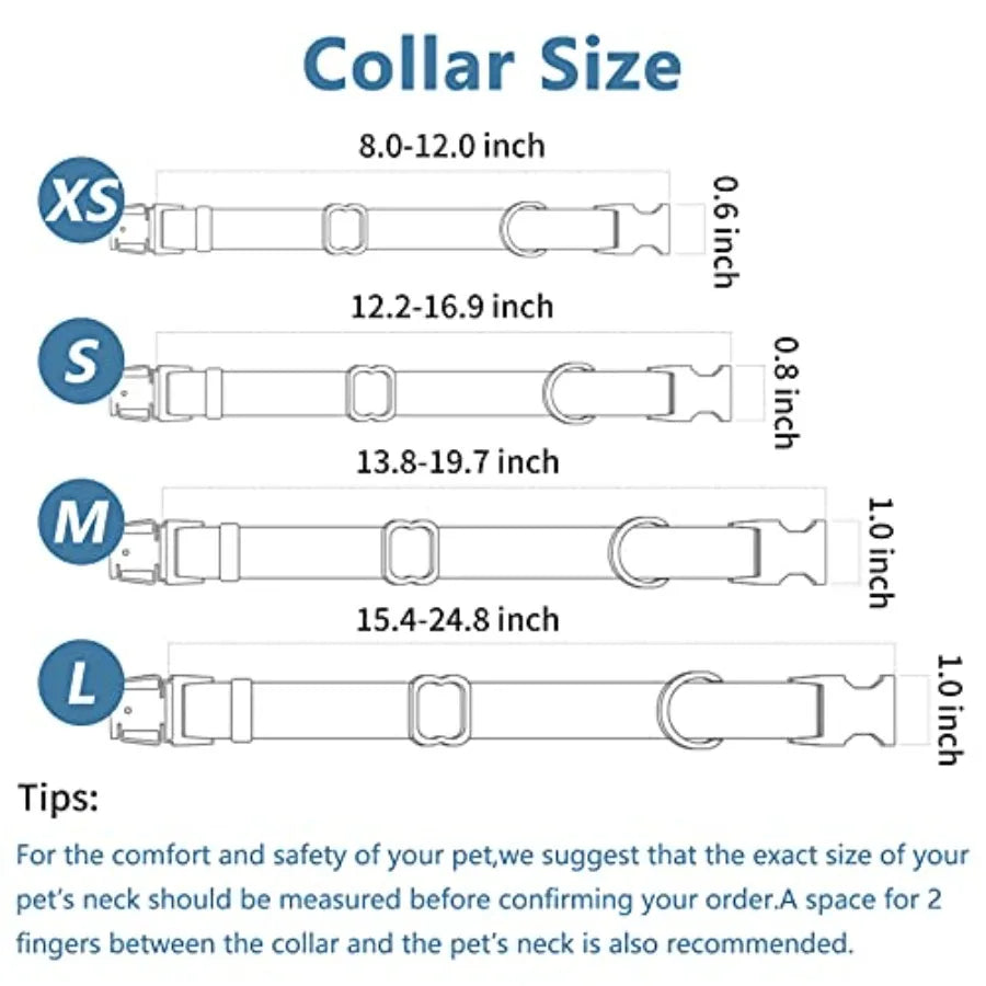 High Concerned Soft Leather Dog Collar and Leash with Buckle