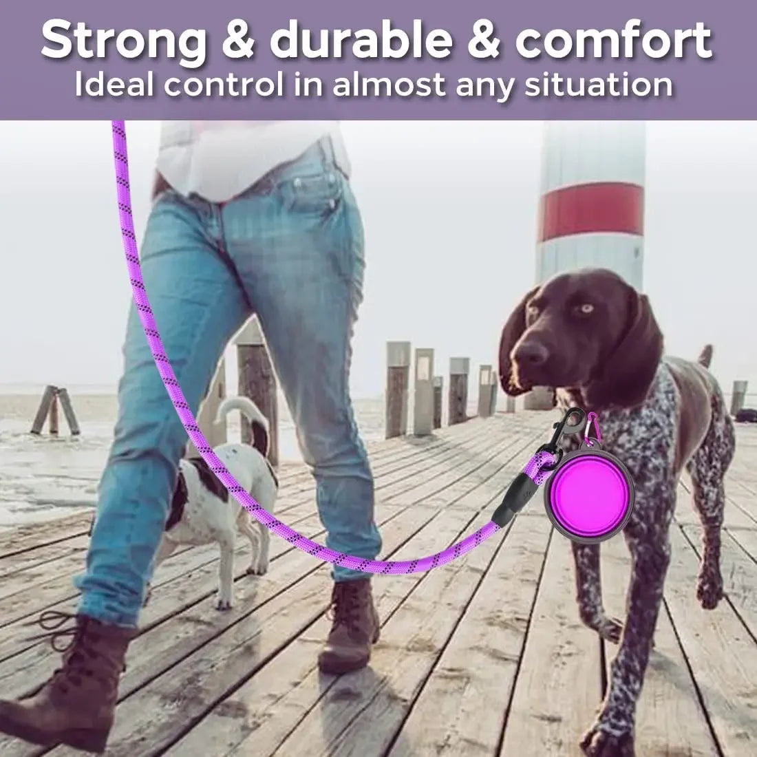 Durable and Reflective Nylon Dog Leash for All Sizes
