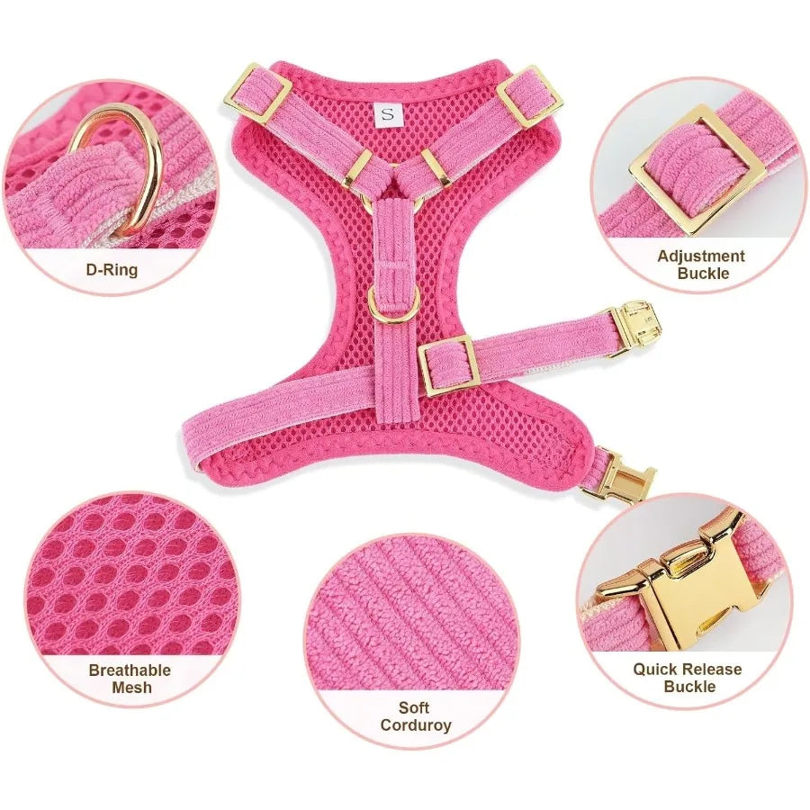 High Concerned Dog Harness Leash Set With Bow Tie Mesh Vest