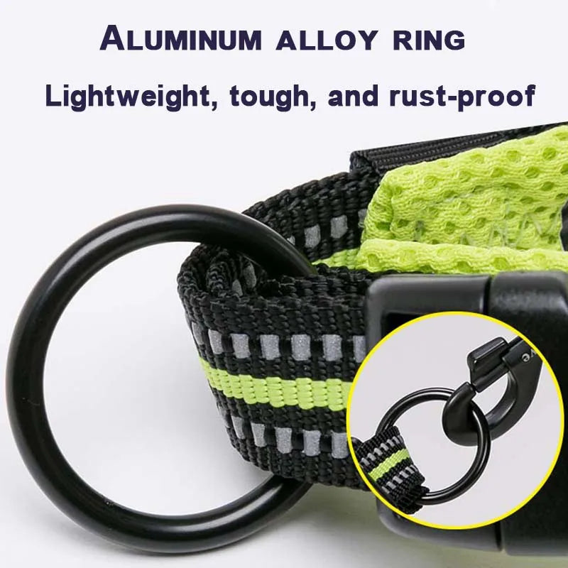Winhyepet Nylon Dog Walking Collar Padded Comfort Breakaway