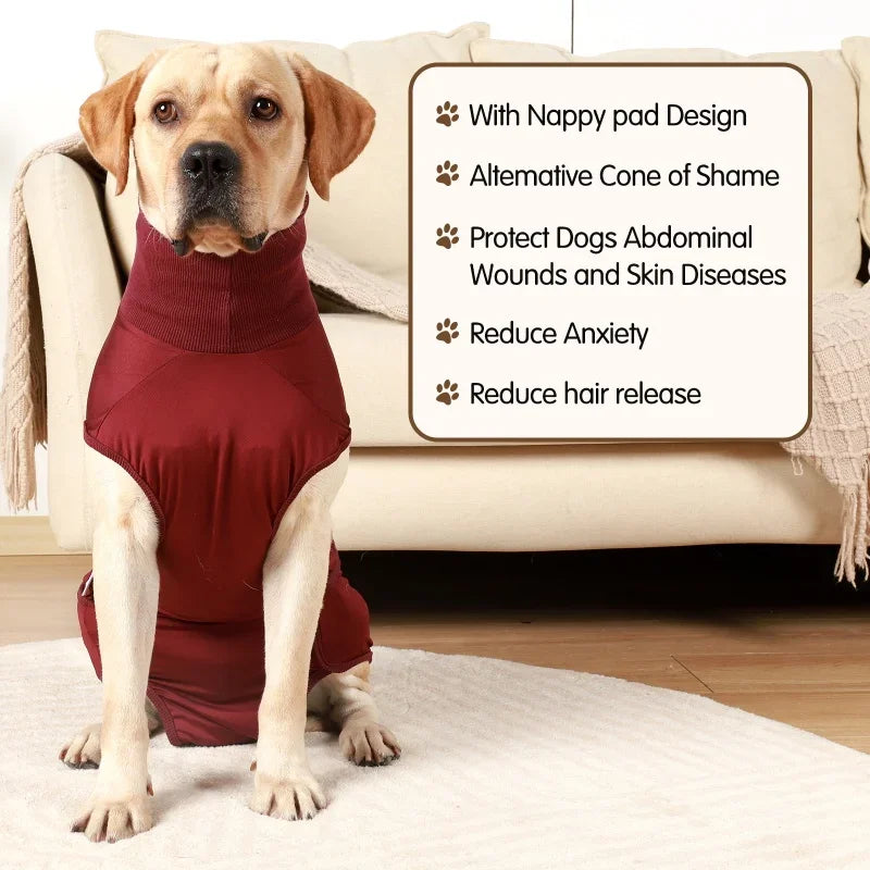 Guangdong Hign-concerned Recovery Dog and Cat Suit for Postoperative Care