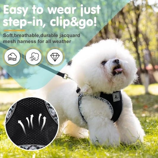 NONECN Breathable Dog Harness And Leash Set For Small Dogs
