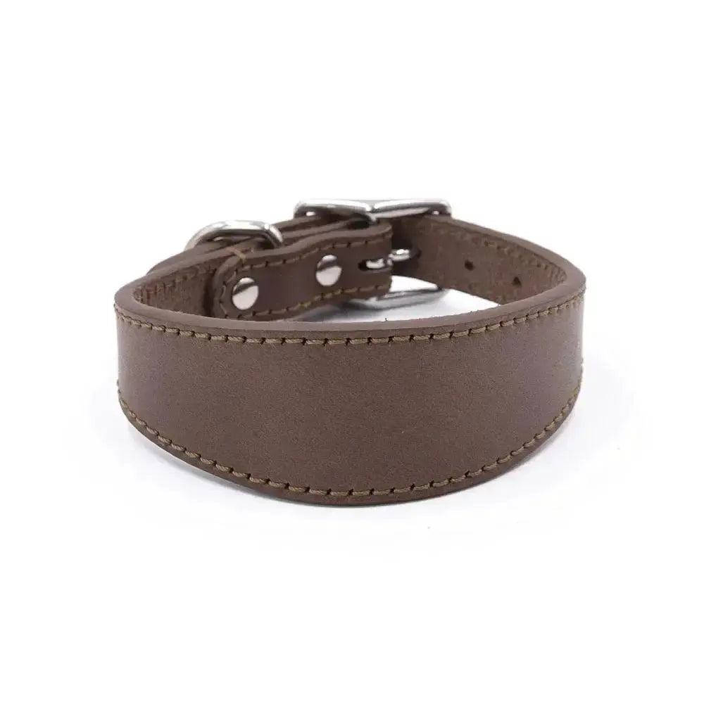 Simple and Adjustable Real Leather Greyhound Collar Wide Huibit Collar Adjustable for Small and Medium Dog Collars Pet Supplies by Furtastic Pet Essentials