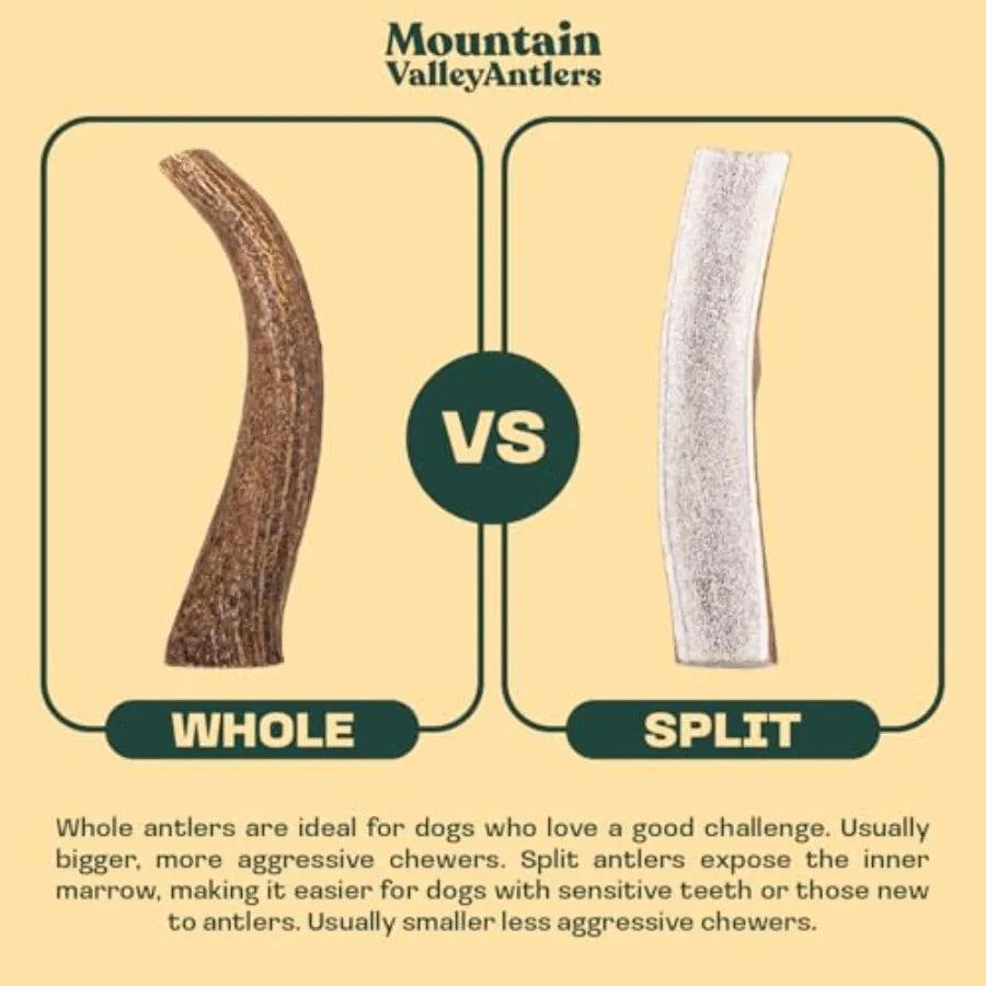 YAO HUI HUANG Mountain Valley Mixed Species Antlers for Dogs