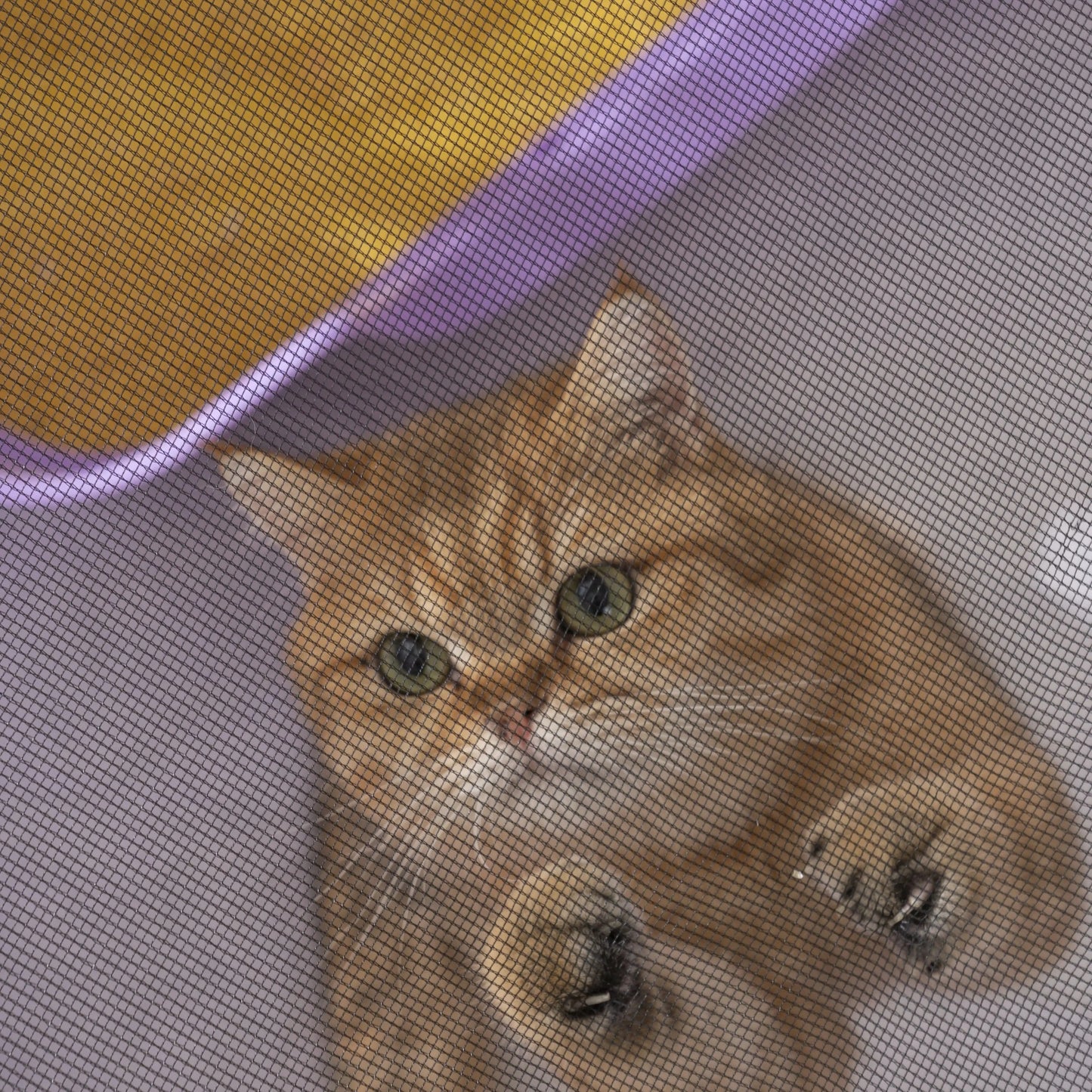 Foldable Mesh Ventilated Circular Cat Nest for Cats and Dogs