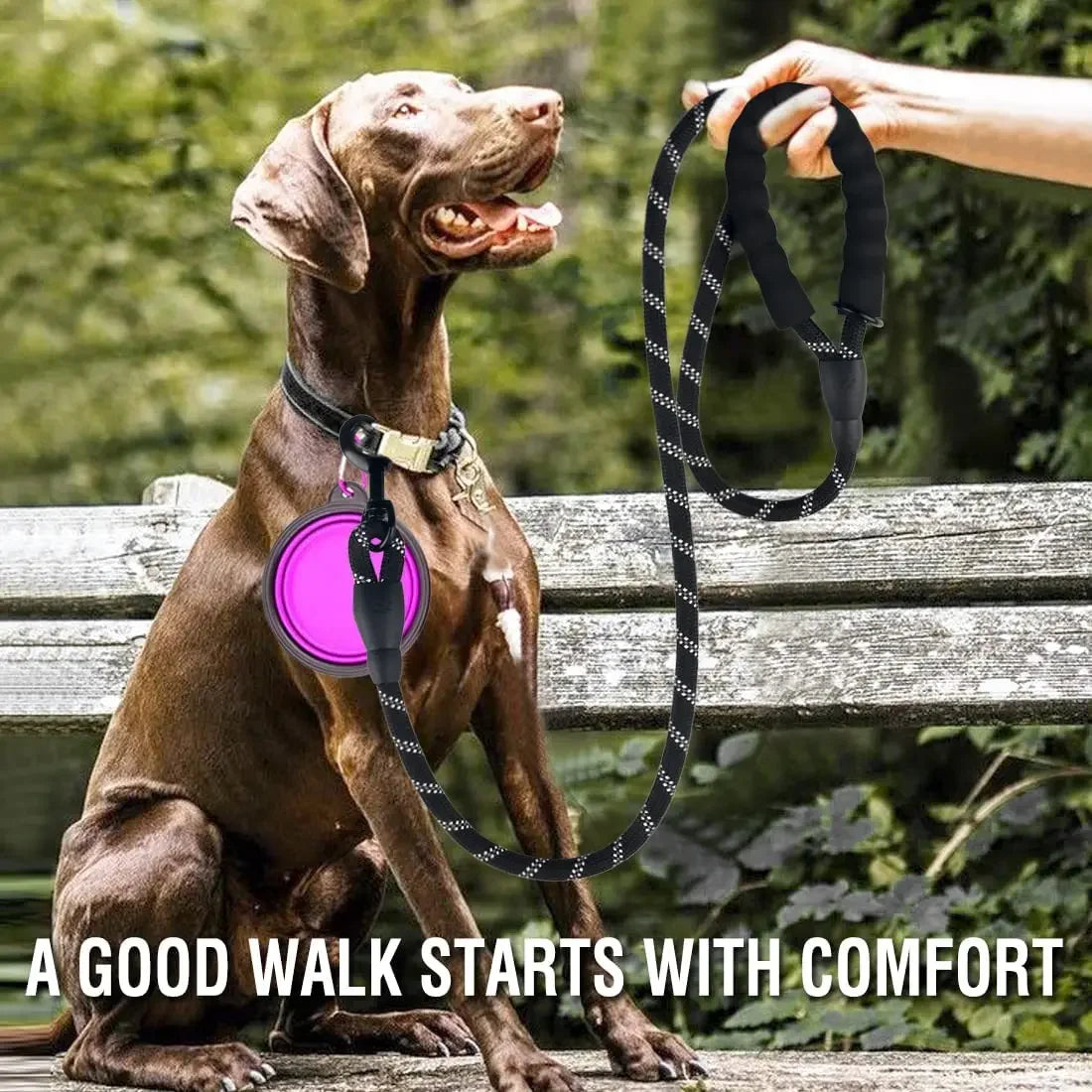 Durable and Reflective Nylon Dog Leash for All Sizes