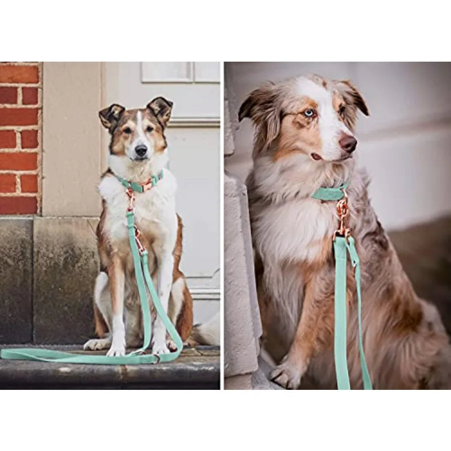 High Concerned Soft Leather Dog Collar and Leash with Buckle