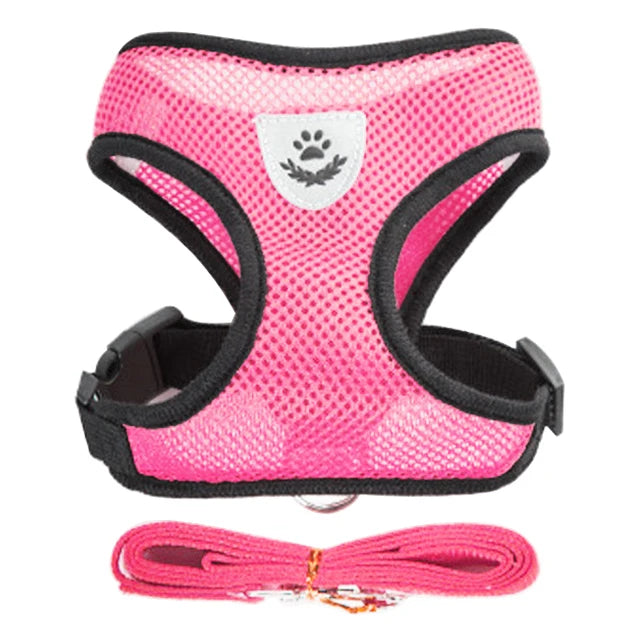YTYINCN Dog Harness Leash for Pets
