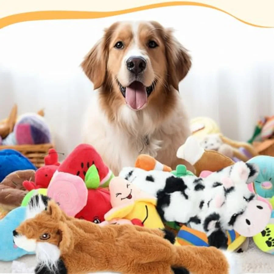 YAO HUI HUANG Dog Toy Set SqueakyCrinkle No Stuffing StorageBox