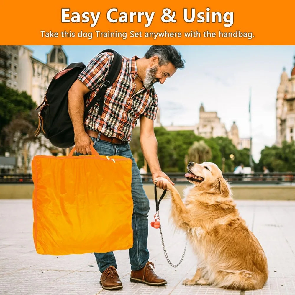 Hign-concerned Dog Agility Training Equipment Set Outdoor Indoor