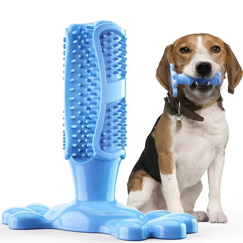 Pet Dog Cactus Interactive Rubber Chew Toy Dental Toothbrush Dispenser
