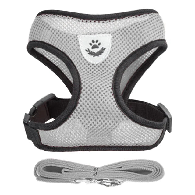 YTYINCN Dog Harness Leash for Pets