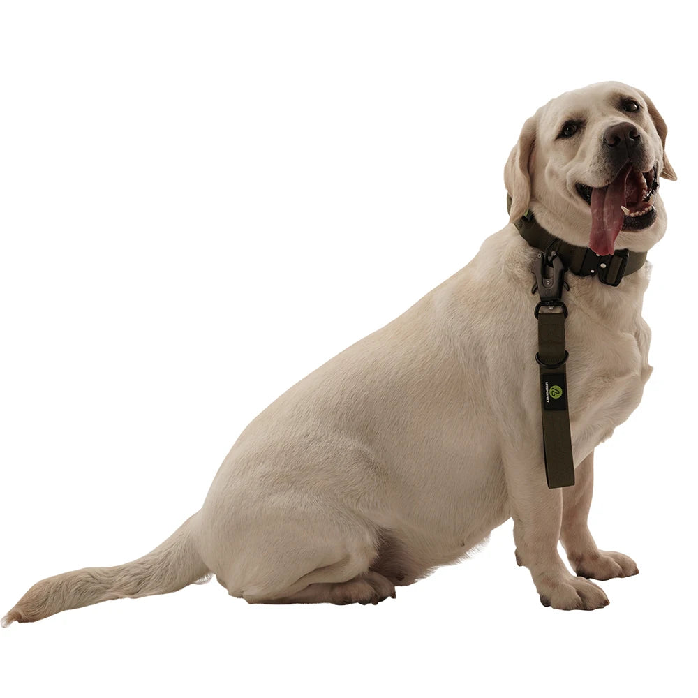 Nylon Short Dog Leash With Padded Handle Reflective Traffic Lead