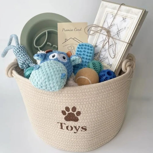Yao Hui Huang Dog Welcome Gift Box Starter Kit Bundle