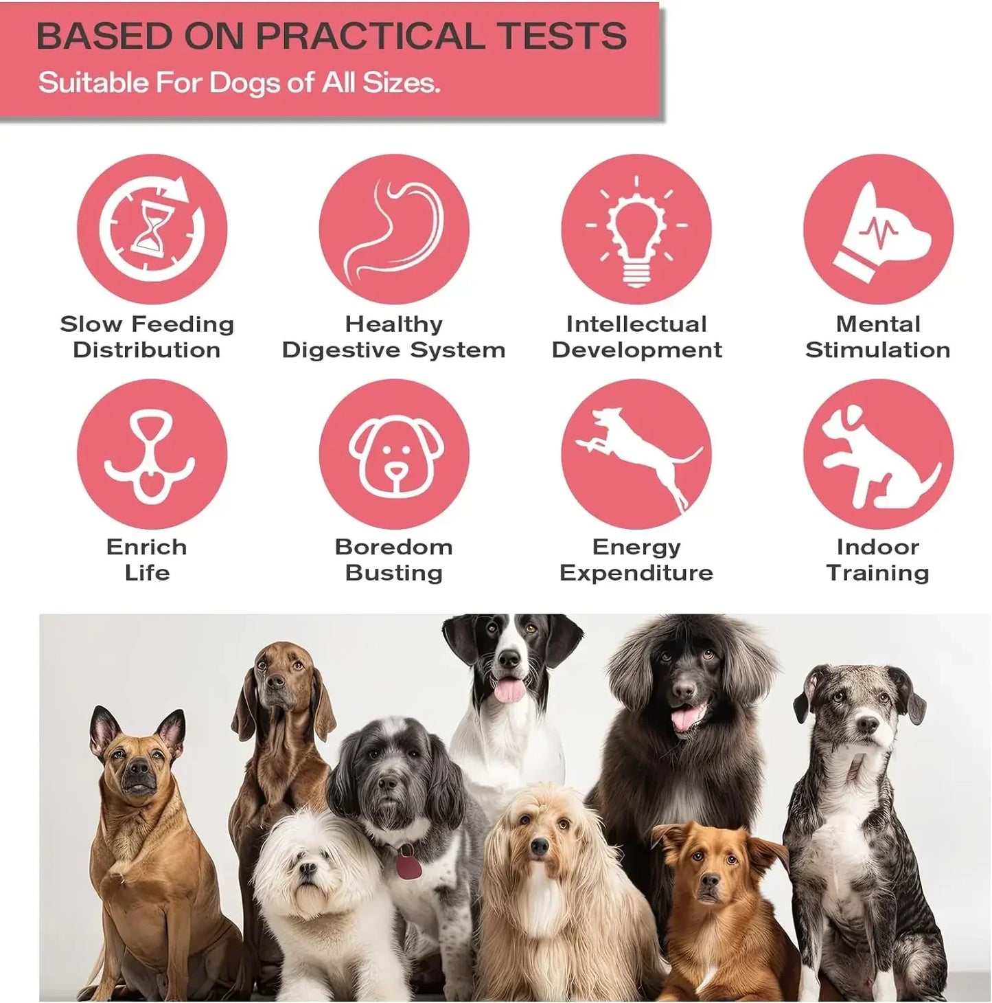 Dog Puzzle Toy Elliptical Track Treat Dispenser Interactive Durable Plastic