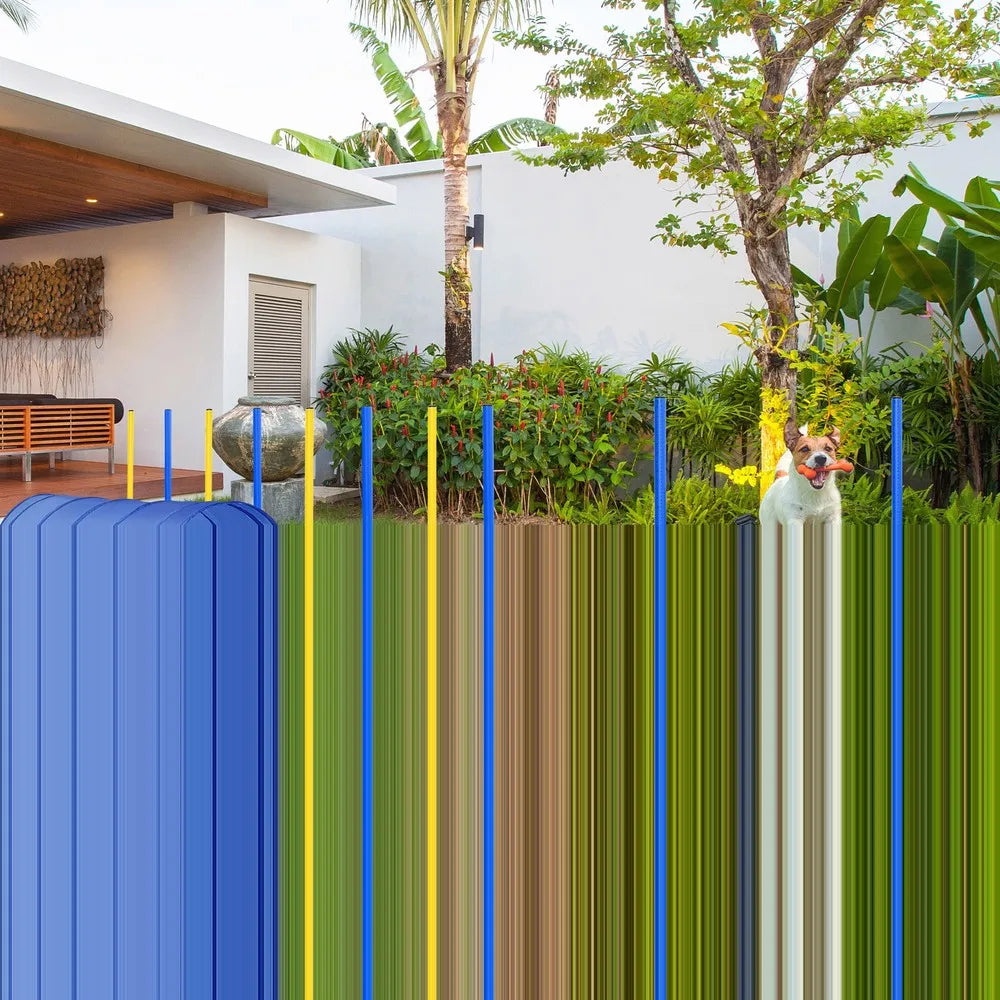 Hign-concerned Backyard Dog Agility Training Kit Obstacle Course