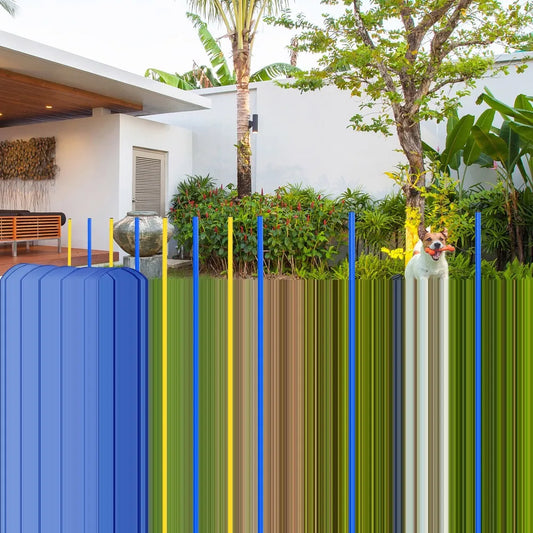 Hign-concerned Backyard Dog Agility Training Kit Obstacle Course