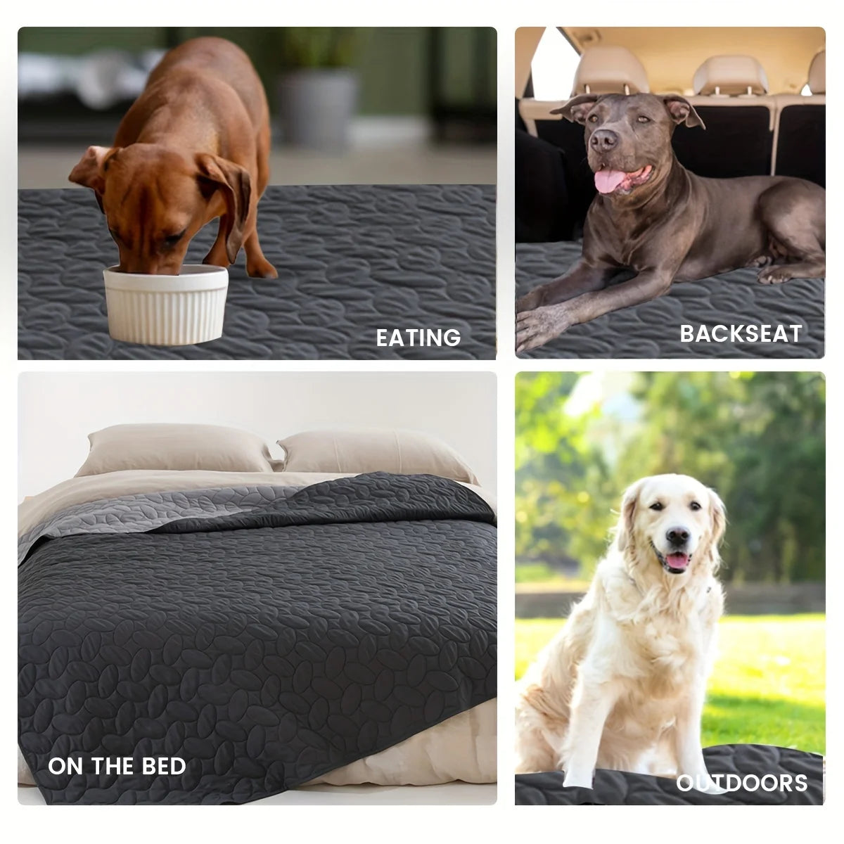 CN Zhejiang Waterproof Dog Bed Blanket And Sofa Cover