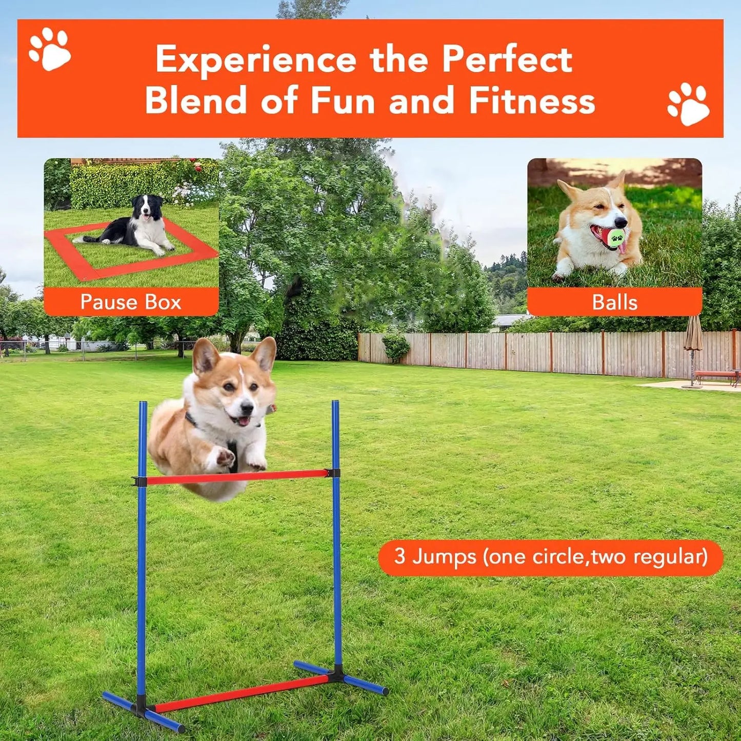 HiMISSH Dog Agility Training Equipment Set Obstacle Course Kit