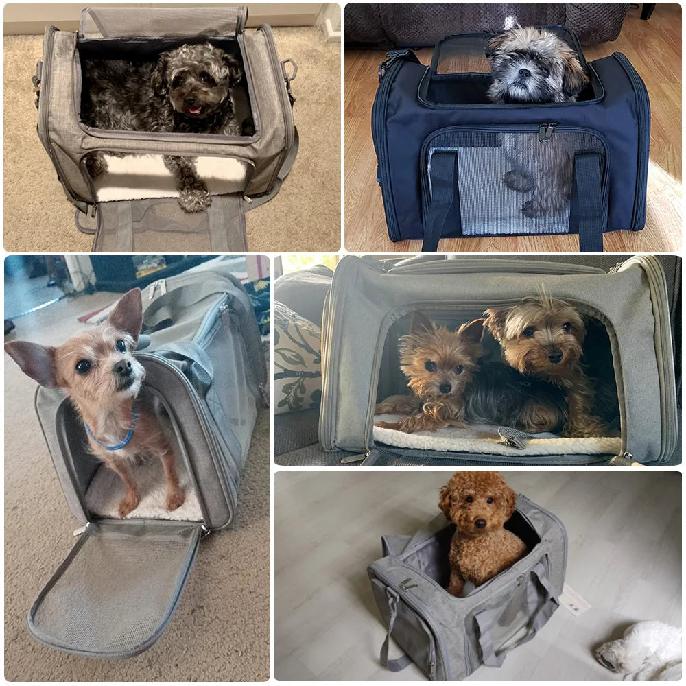 Soft Side Dog Carrier Backpack for Small Breeds Airline Approved