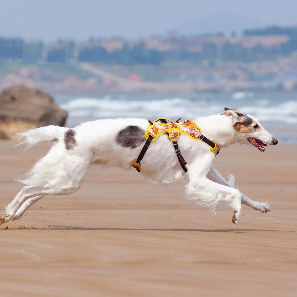 JANPET Reflective No Pull Dog Harness Adjustable Vest