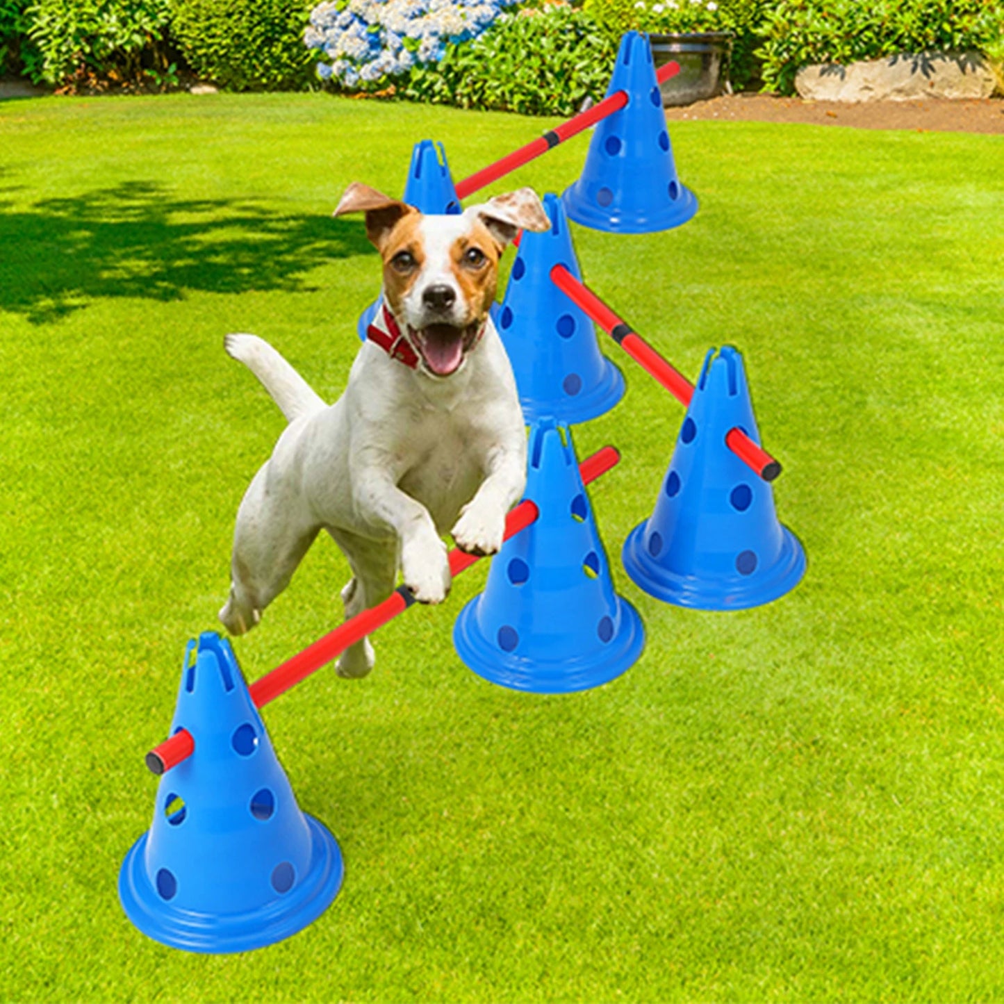 DishyKooker Dog Agility Hurdle Set 12 Cones and 6 Rods