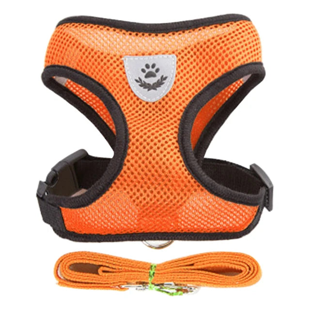 YTYINCN Dog Harness Leash for Pets