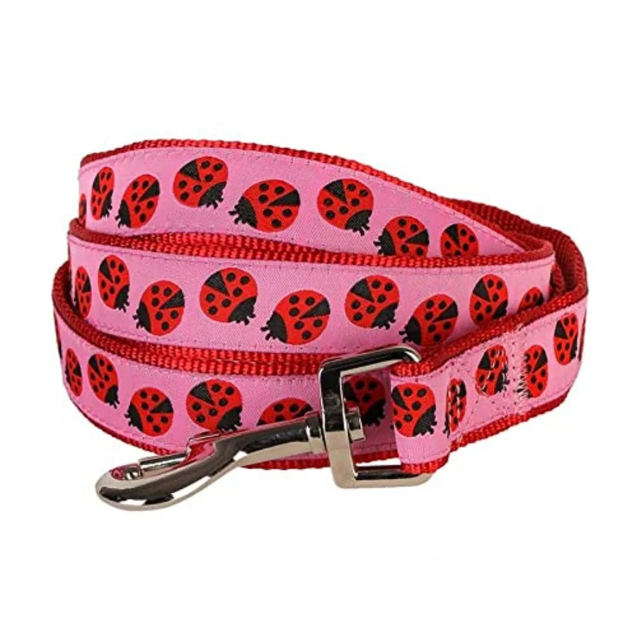Durable Ladybug Designer Nylon Dog Leash With Webbing Pattern