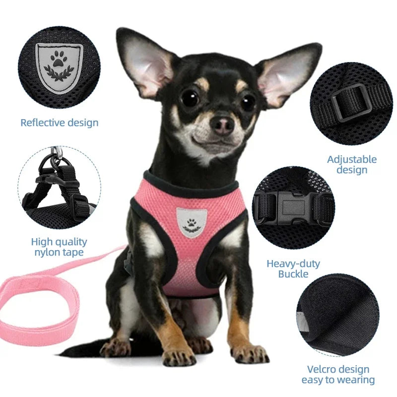 YTYINCN Dog Harness Leash for Pets