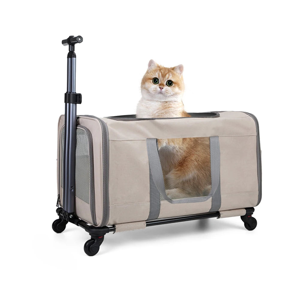 Cat Trolley For Two Cats With Wheels And Secure Belts