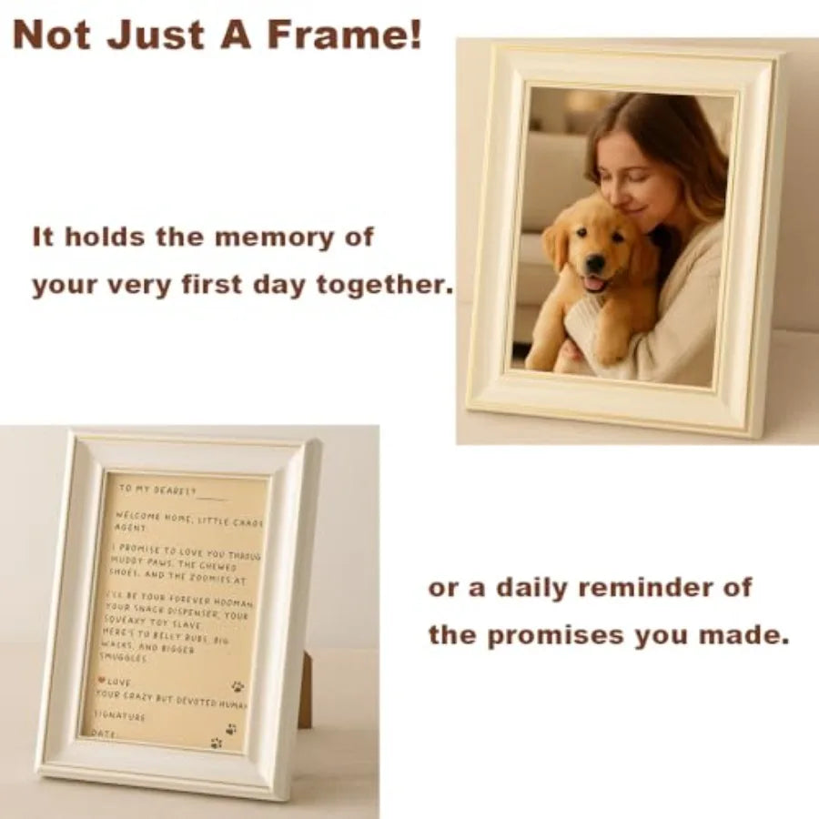 Yao Hui Huang Dog Welcome Gift Box Starter Kit Bundle