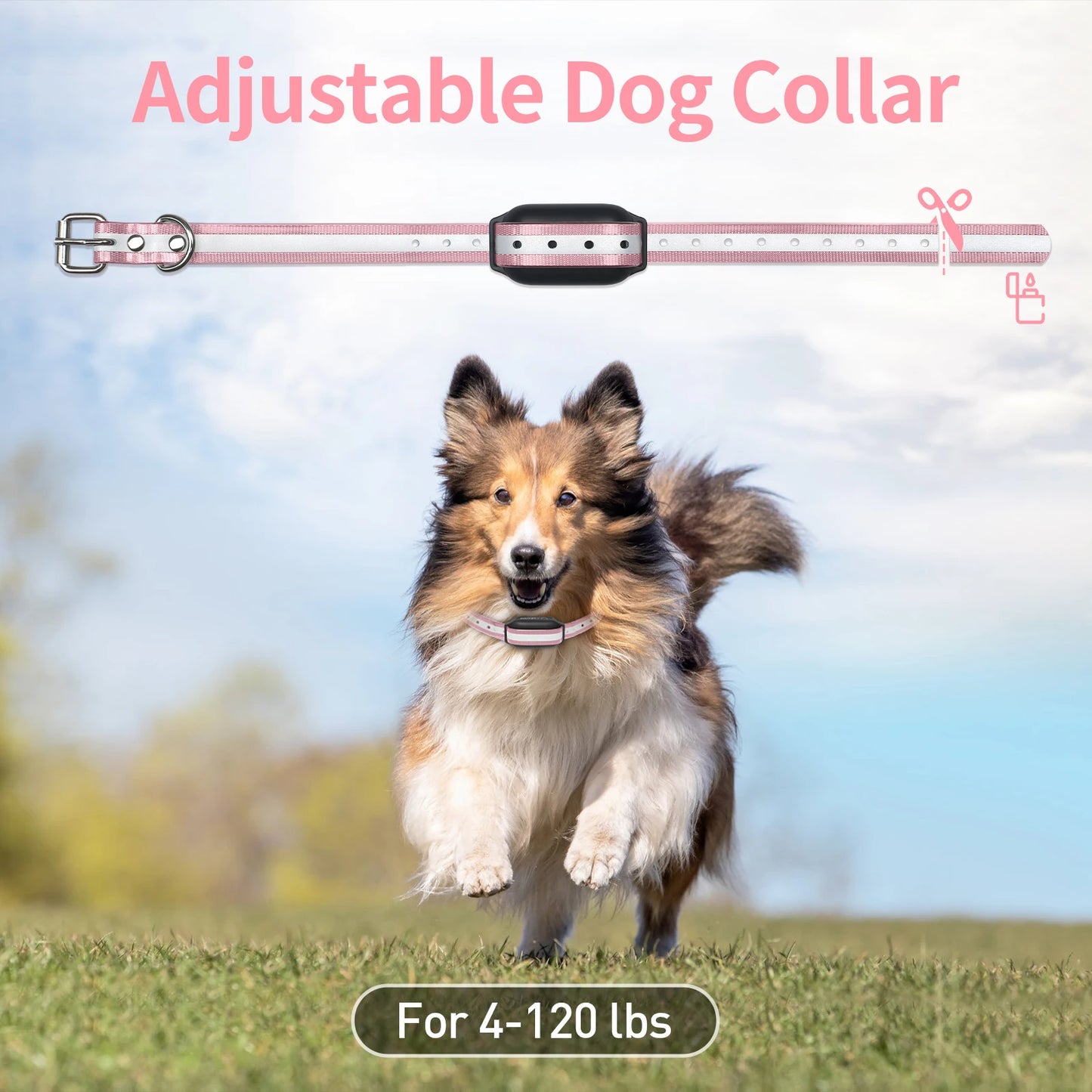 PaiPaitek 1000M Remote Dog Training Collar With 3 Modes