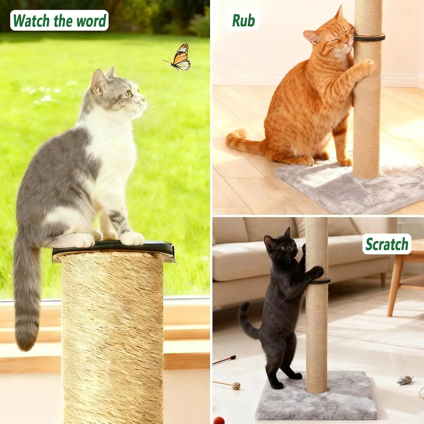Cat Scratching Post With Sisal And Plush Pad Indoor Cats