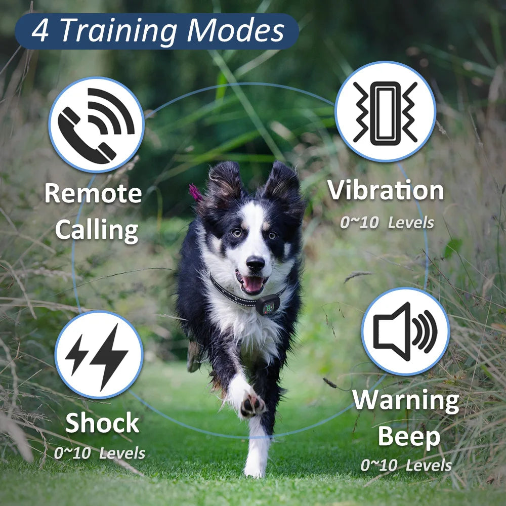 Dog Training Collar With Remote IPX7 Waterproof 4 Training Modes