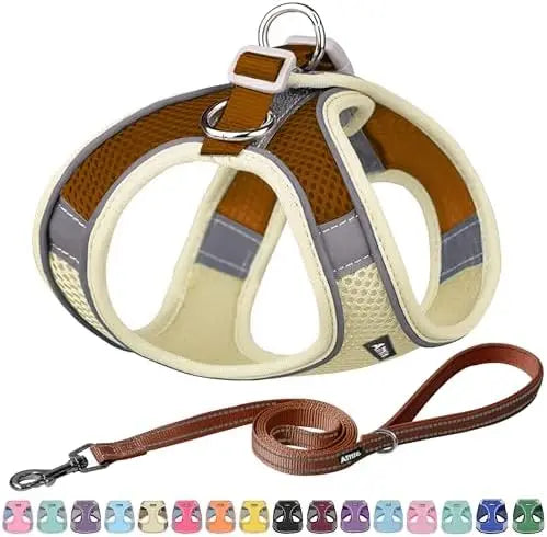 YTYIN Adjustable Dog Harness And Leash Set Padded Vest Easy Fit