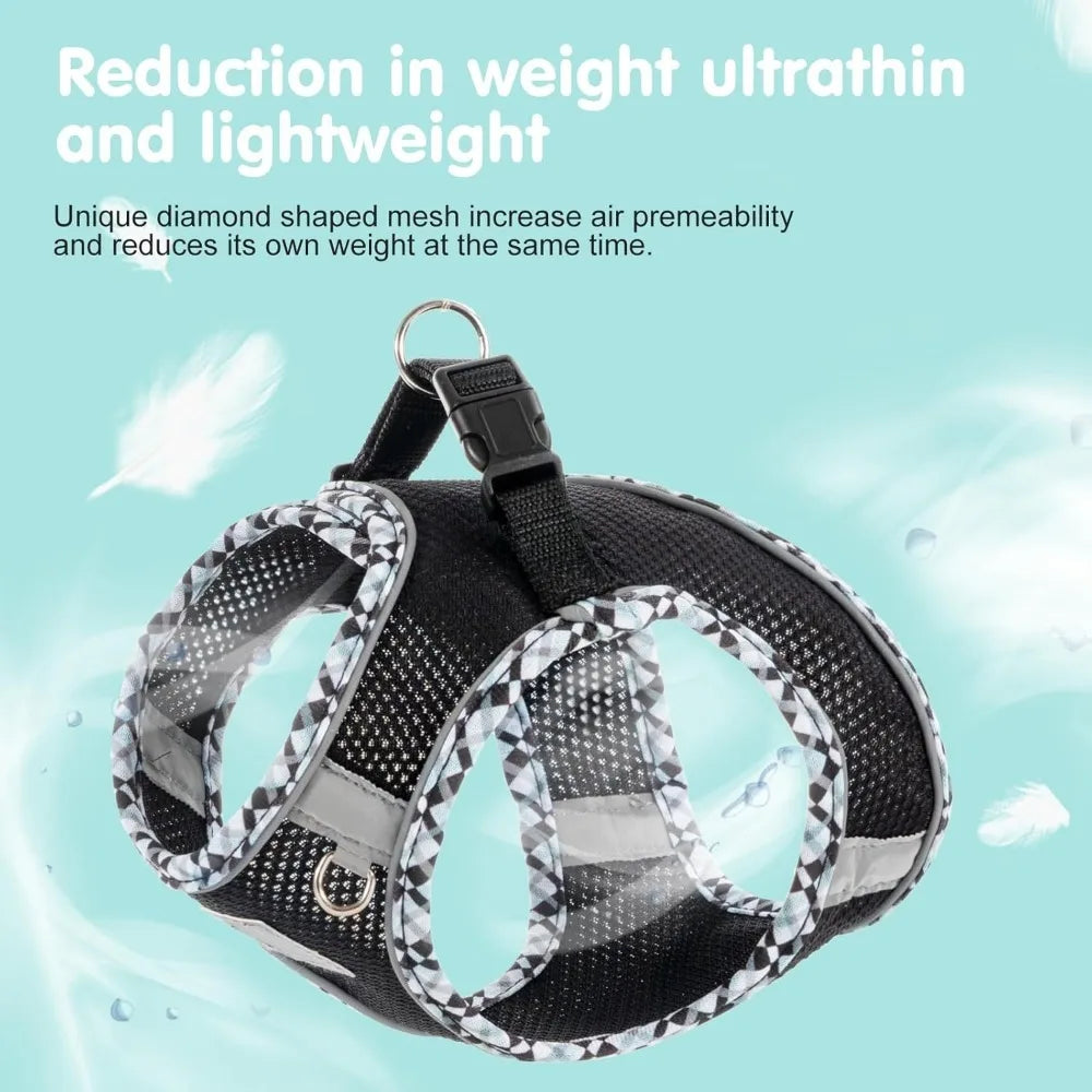 NONECN Breathable Dog Harness And Leash Set For Small Dogs