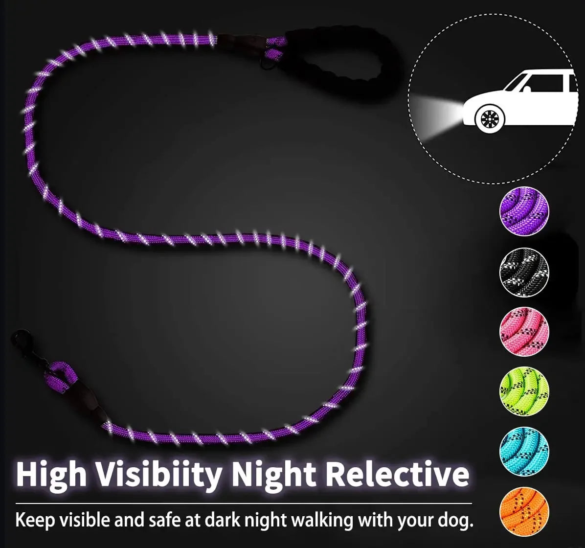 Durable and Reflective Nylon Dog Leash for All Sizes