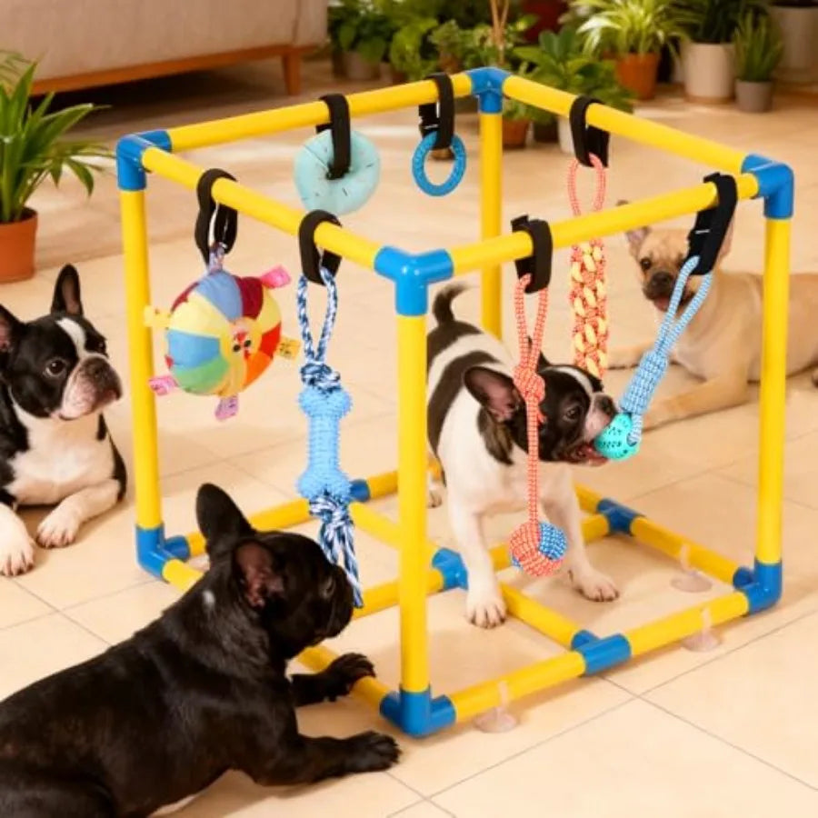 YAO HUI HUANG Puppy Play Gym With 10 Hanging Toys Indoor PVC Frame Jungle Gym