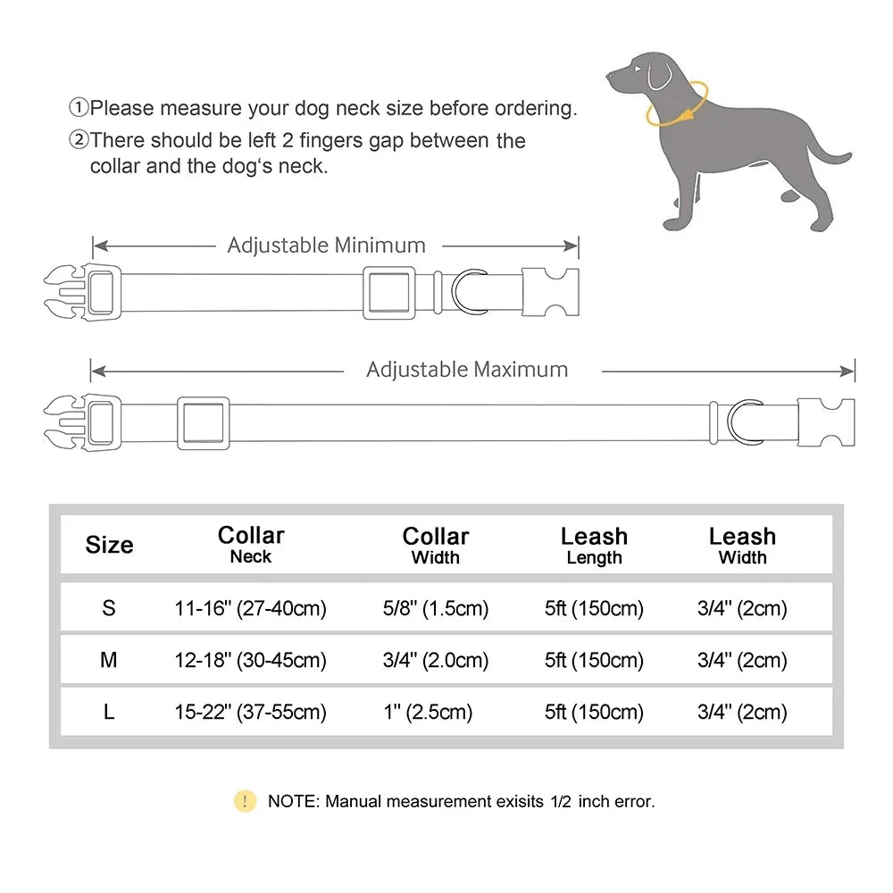 Nylon Custom Dog Collar Leash Set With Free Engraving