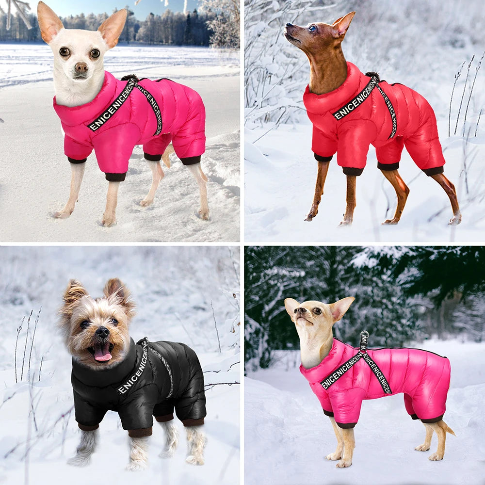 Winter Warm Dog Jacket Harness Waterproof For Small Medium Dogs