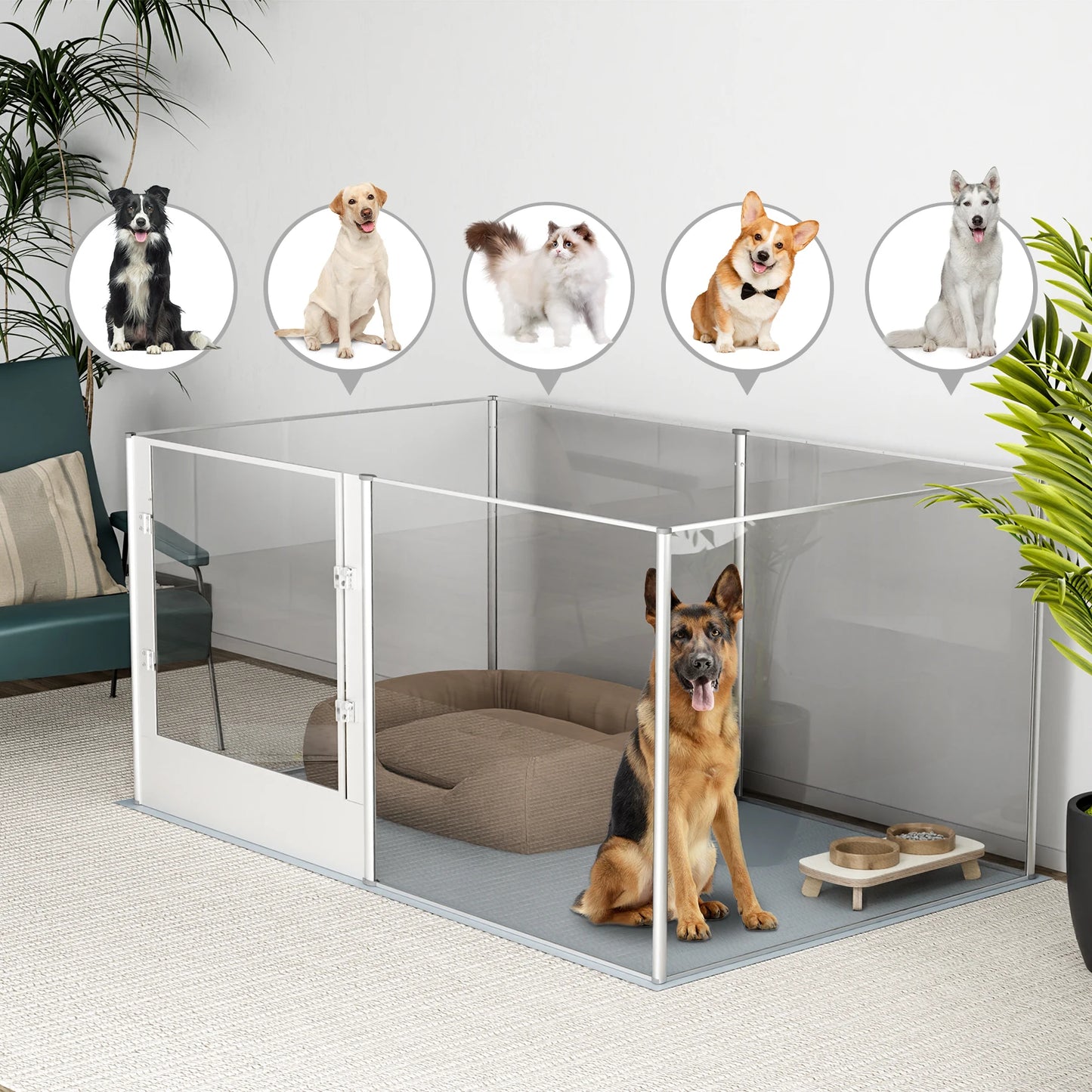 BINGOPAW Acrylic Dog Playpen Fence With Waterproof Pad For Pets