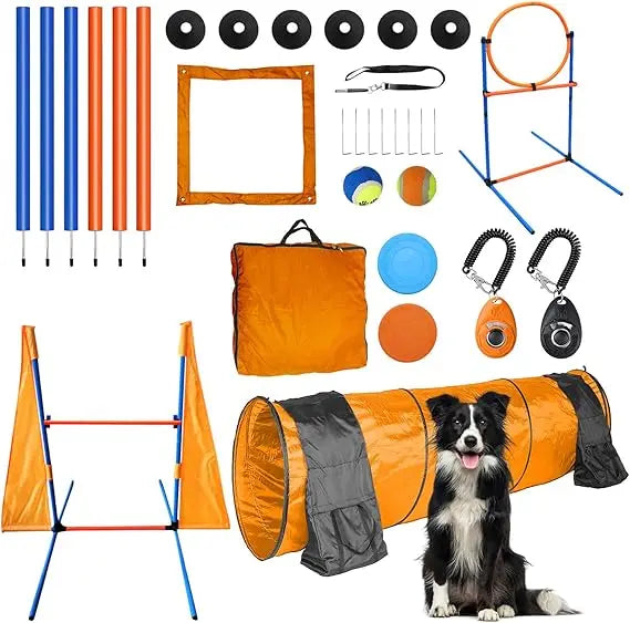 Hign-concerned Dog Agility Training Equipment Set Outdoor Indoor